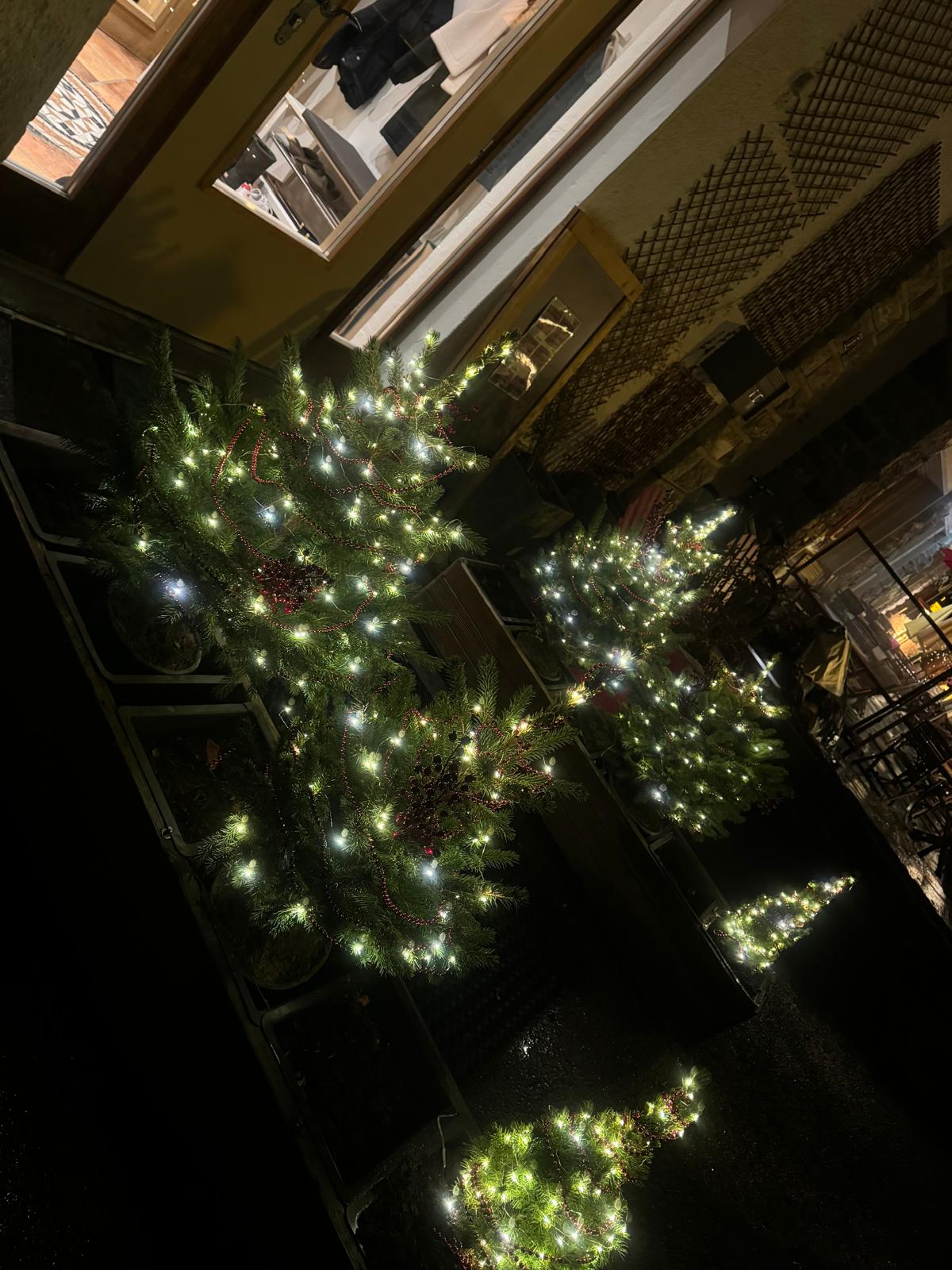 Luminous outdoor Christmas decor
